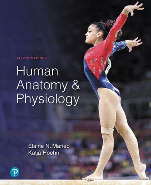 An image of one of the best anatomy and physiology books called Marieb and Hoehn's Anatomy And Physiology 