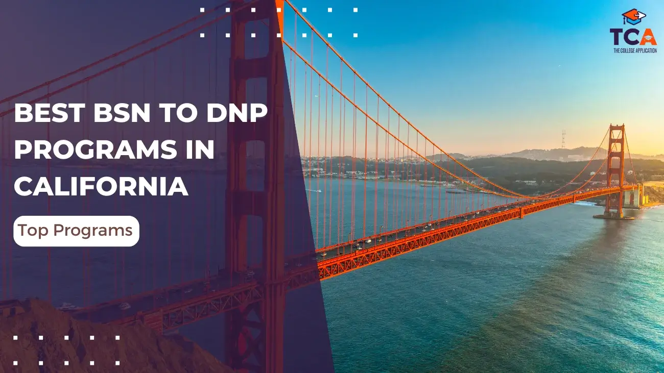 Featured Image of blog article on Best BSN to DNP Programs in California